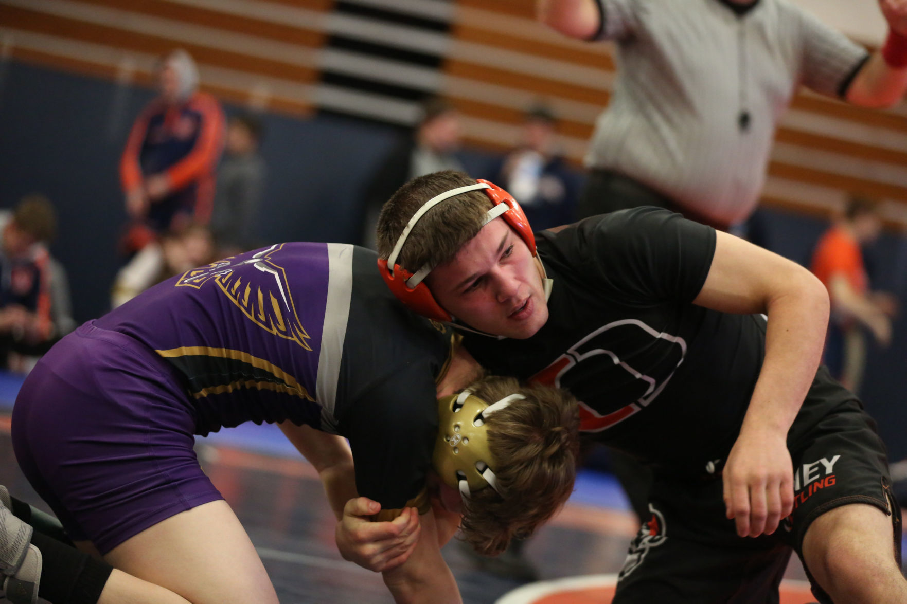 Mahomet wrestling 14 2.09.19.JPG